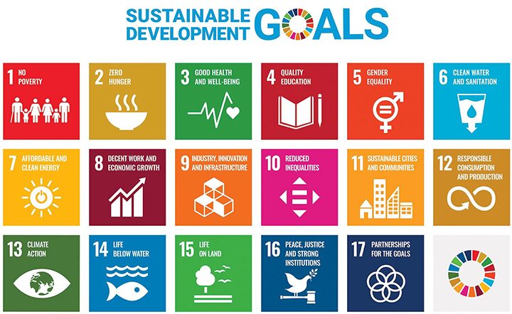 17 Sustainable Development Goals